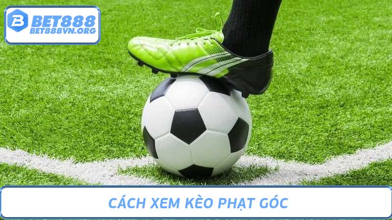 Cách Xem Kèo Phạt Góc Bí Mật Của Các Chuyên Gia Cá Độ